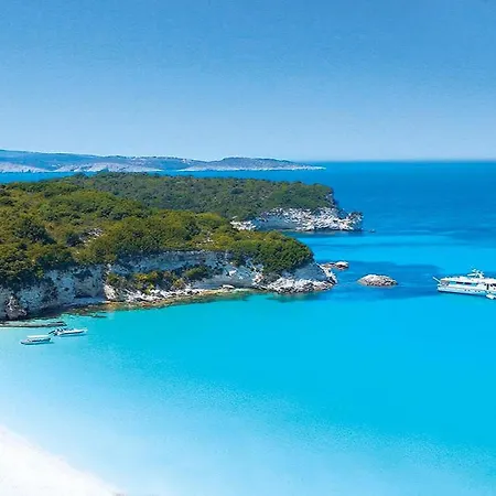 Dive Into Summer - Kirki's Cozy Pool Gem On Paxoi
